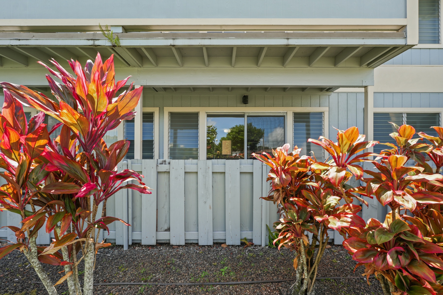 Building exterior with tropical ti plants